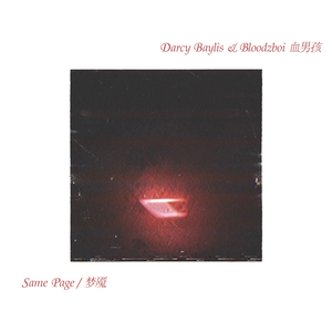 阿拉丁视频每日推荐视频
