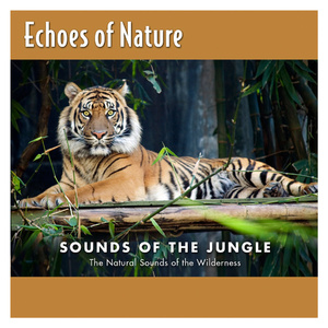 阿拉丁视频每日推荐视频
