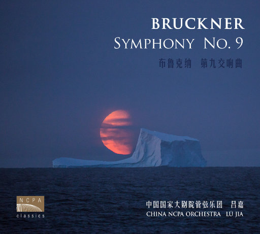 阿拉丁视频每日推荐视频
